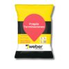 WEBER FRAGUE NEGRO 1KG