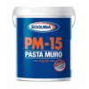 PASTA MURO INTERIOR SOQUINA PM-15  1GL 6K