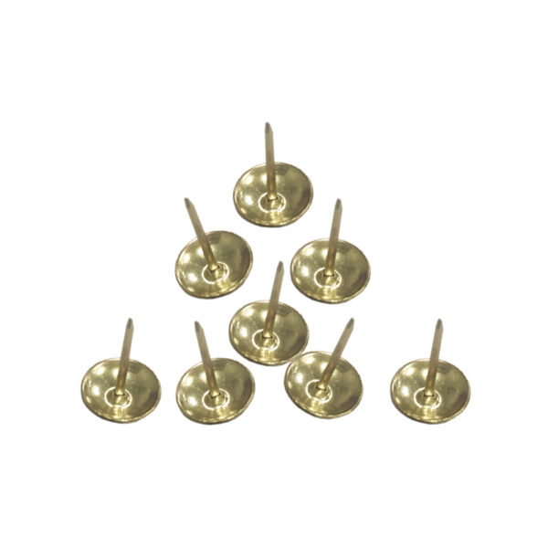CHINCHE AMARILLO       (50)