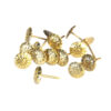 CHINCHE AMARILLO T/FLOR   (50)