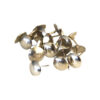 CHINCHE BLANCO (50)